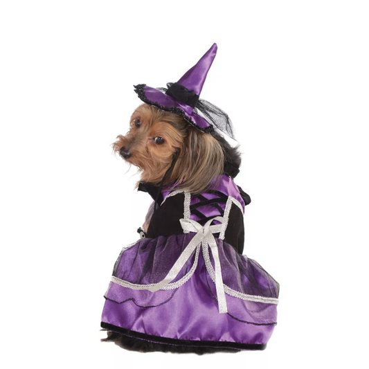 Purple Witch Pet Costume