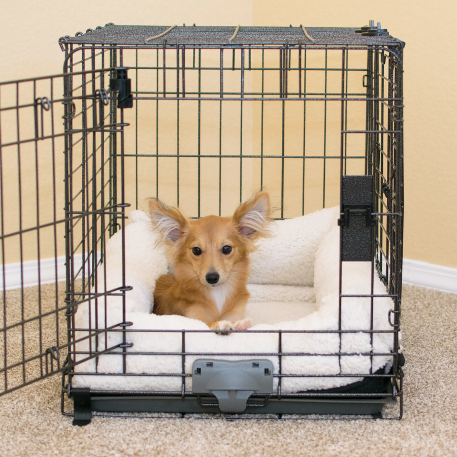 Deluxe Bolster Dog Crate Pad