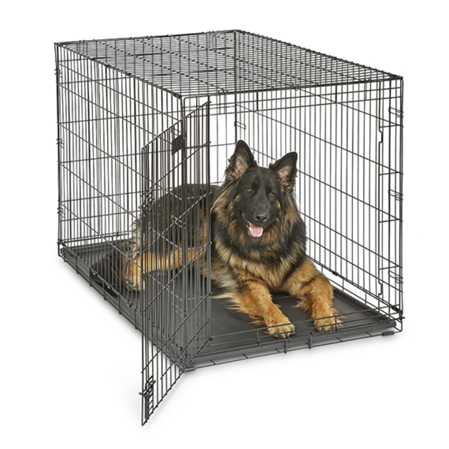 iCrate® Dog Crate