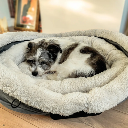 Nest & Go Pet Bed and Carrier