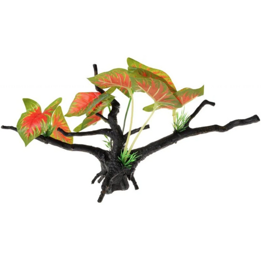 Driftwood Plant - Green and Red Wide