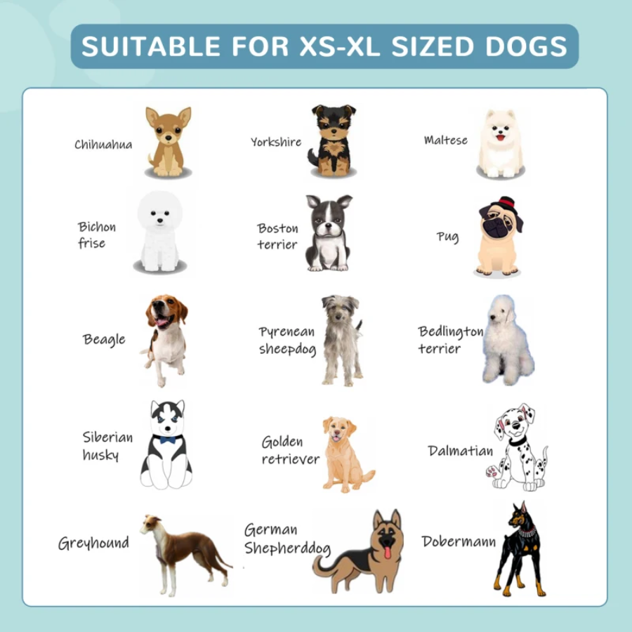 Foldable Pet SwimmingPool - Portable Bathing Tub