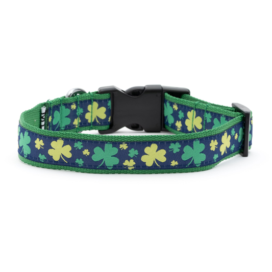 Lucky Dog Collar