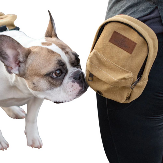 Canvas Pet Treat Training Pouch With Clip