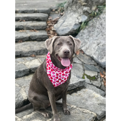 Pink & Red Ombre Hearts Valentine Bandana