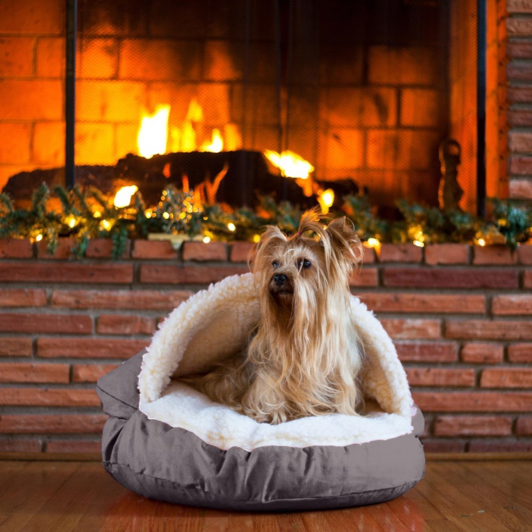 Cosy cave dog bed hotsell