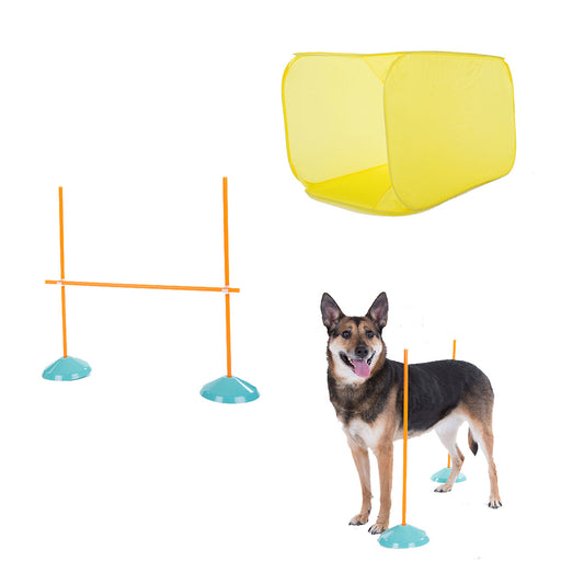 Dog Agility Indoor Starter Kit